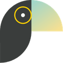 Toucan